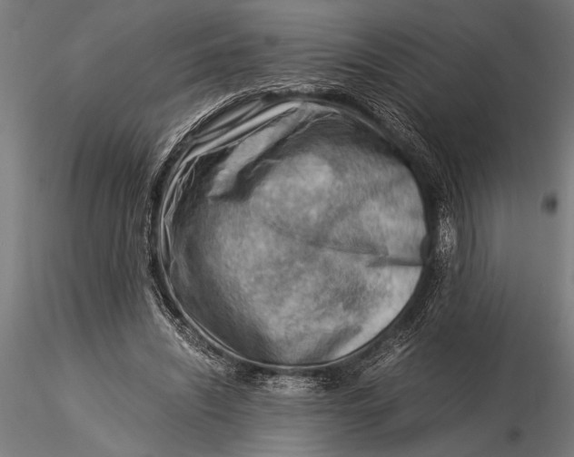 X0000116060444200912111532