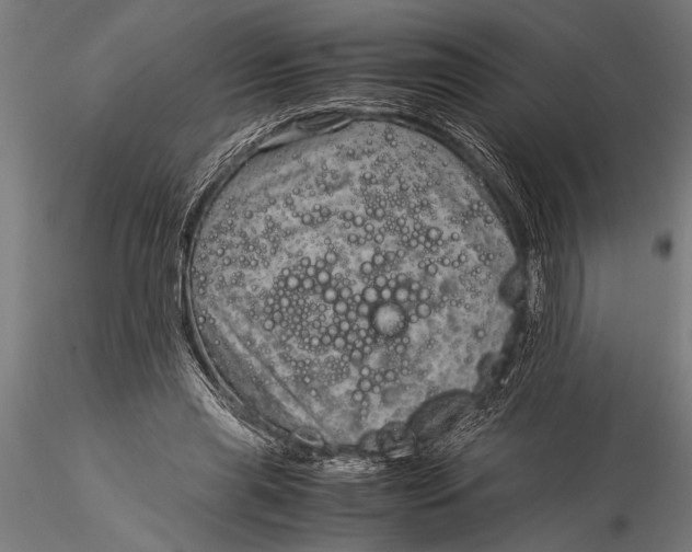 X0000116060445200912111532