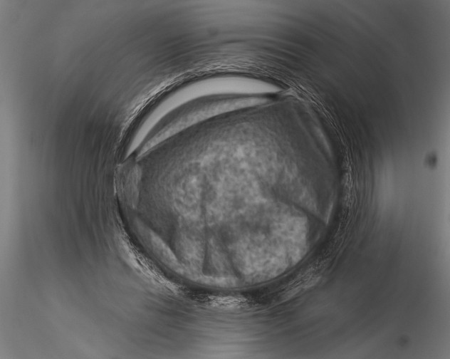 X0000116060446200912111532