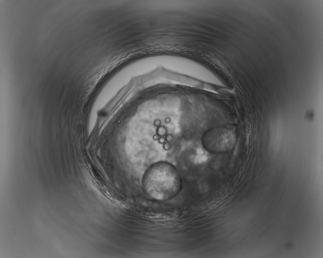 X0000116060447200912111532