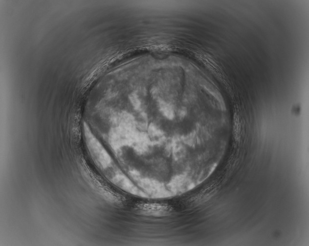 X0000116060449200912111532