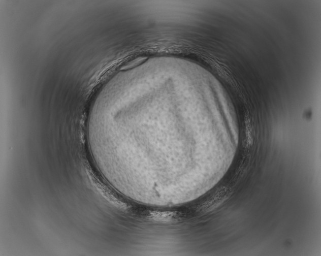 X0000116060450200912111532