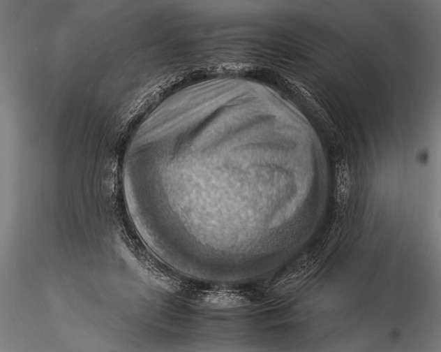 X0000116060451200912111532