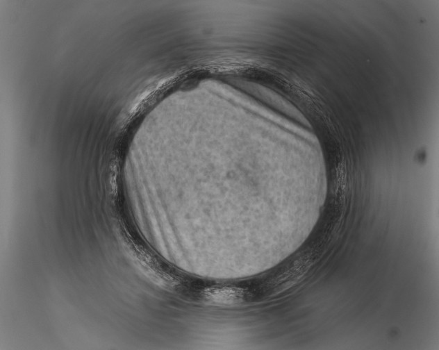 X0000116060452200912111532