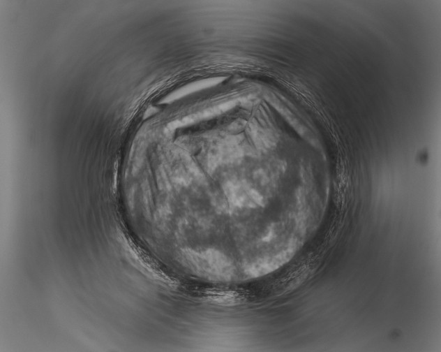 X0000116060454200912111532