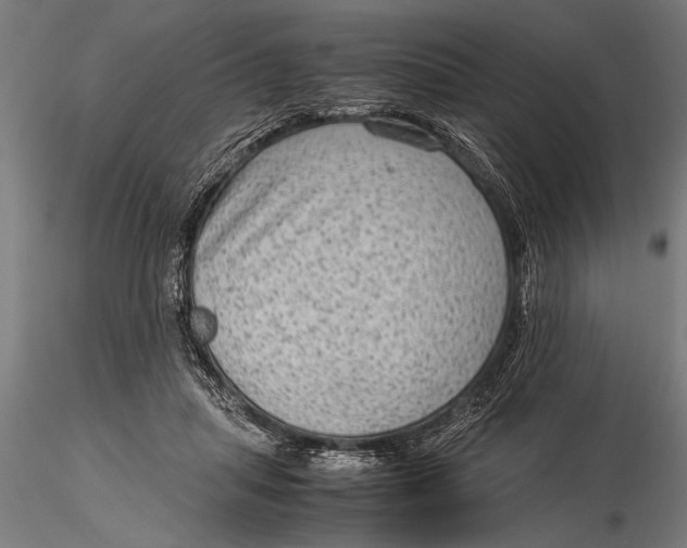 X0000116060455200912111532