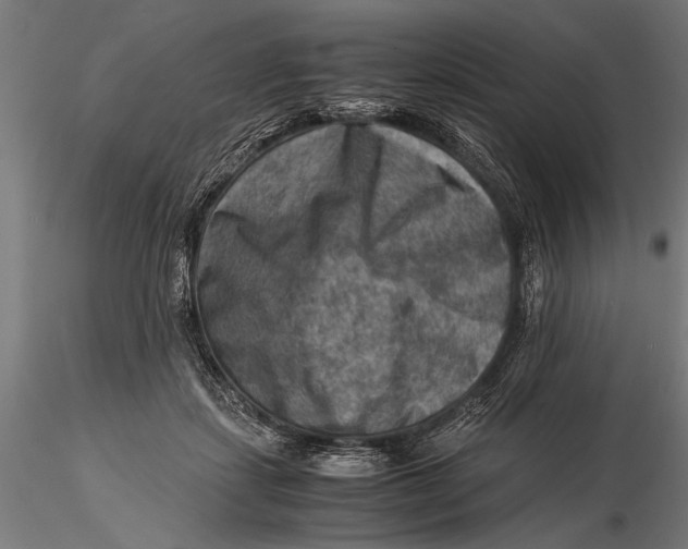 X0000116060459200912111532