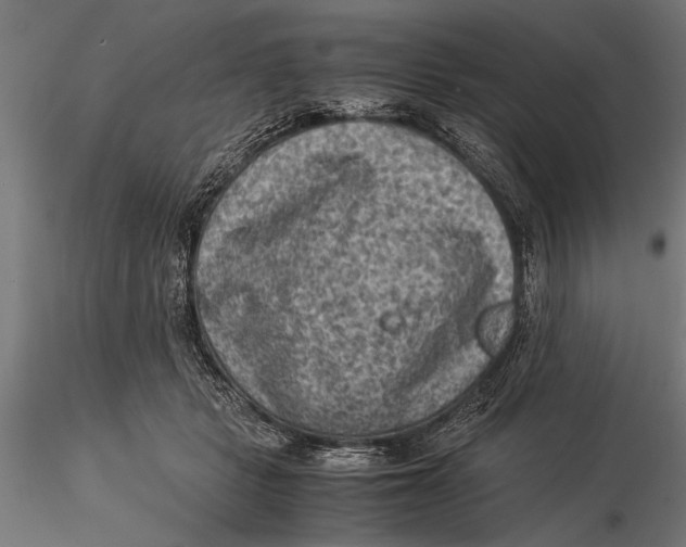 X0000116060461200912111532