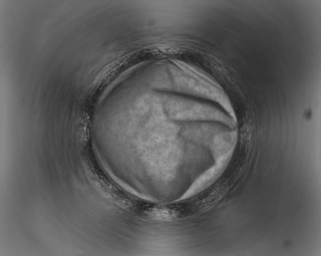 X0000116060464200912111532