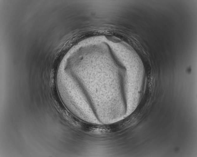 X0000116060466200912111532