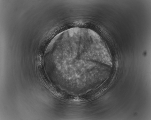 X0000116060467200912111532