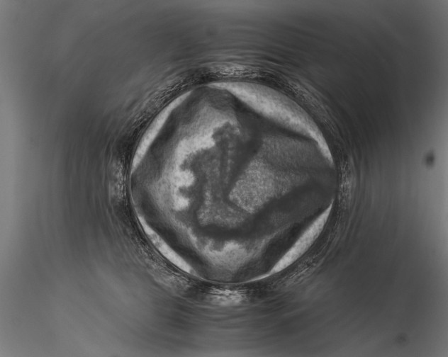 X0000116060469200912111532