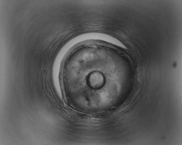 X0000116060471200912111532