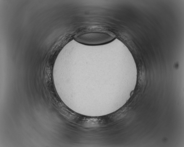 X0000116060473200912111532