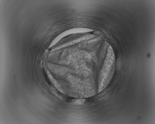 X0000116060474200912111532