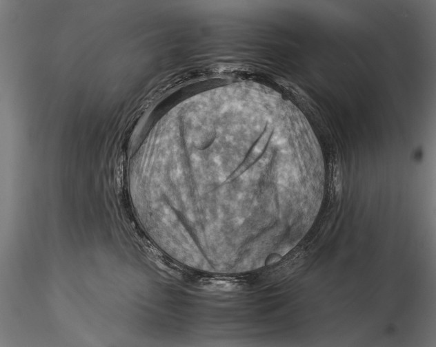 X0000116060475200912111532