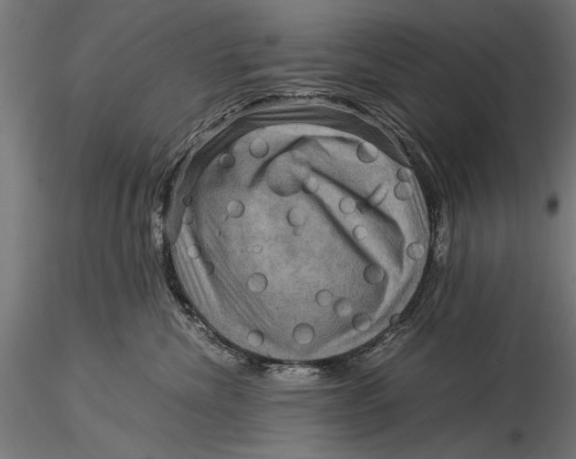 X0000116060476200912111532