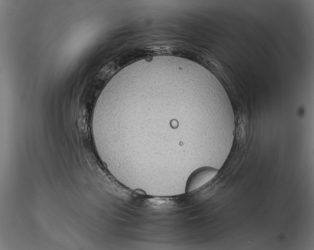 X0000116060477200912111532