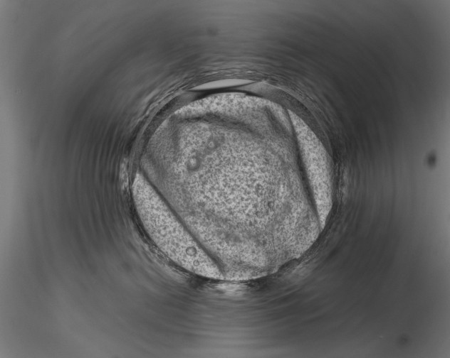 X0000116060478200912111532