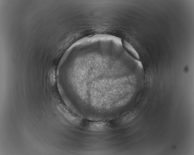 X0000116060479200912111532