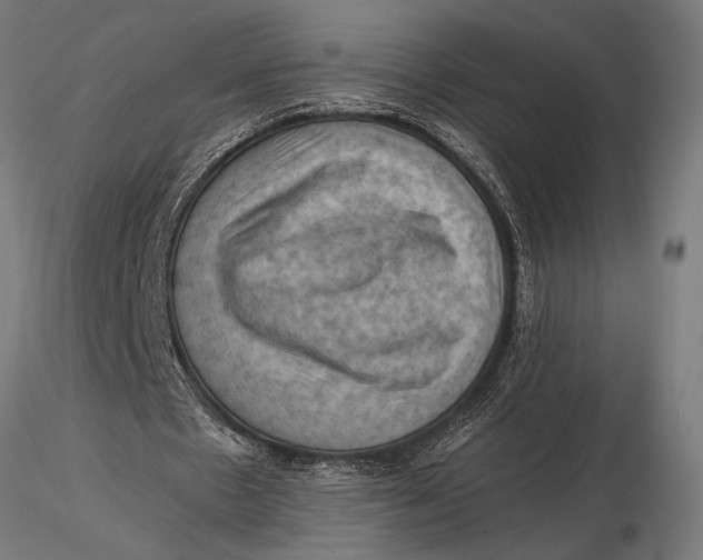 X0000116060481200912111532