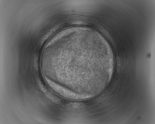 X0000116060482200912111532