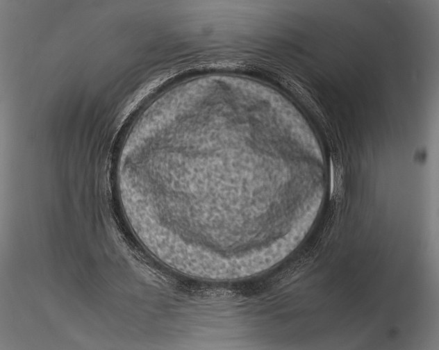 X0000116060483200912111532