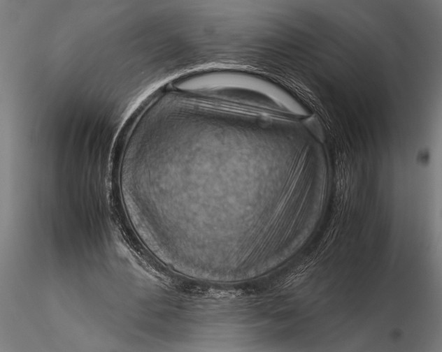 X0000116060484200912111532