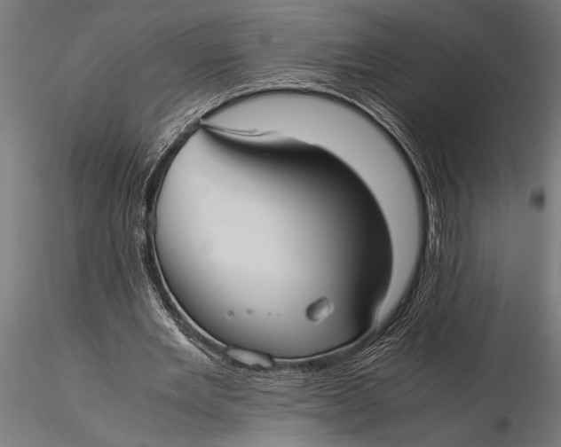 X0000116060485200912111532