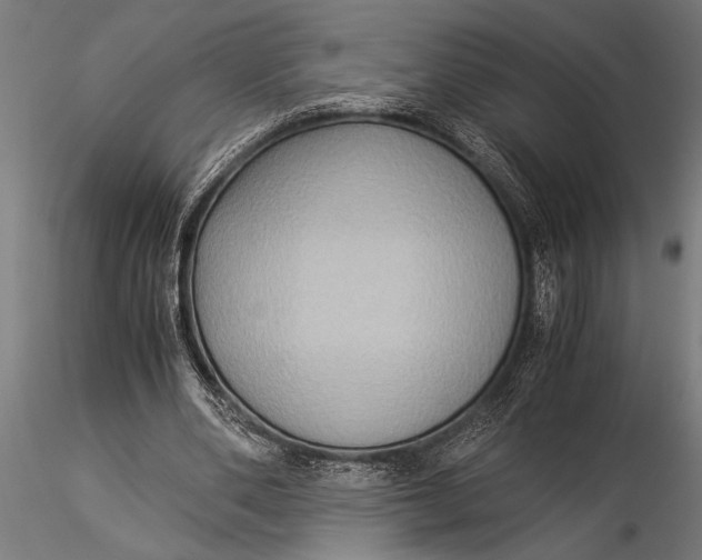 X0000116060486200912111532