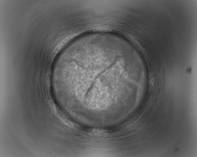 X0000116060487200912111532