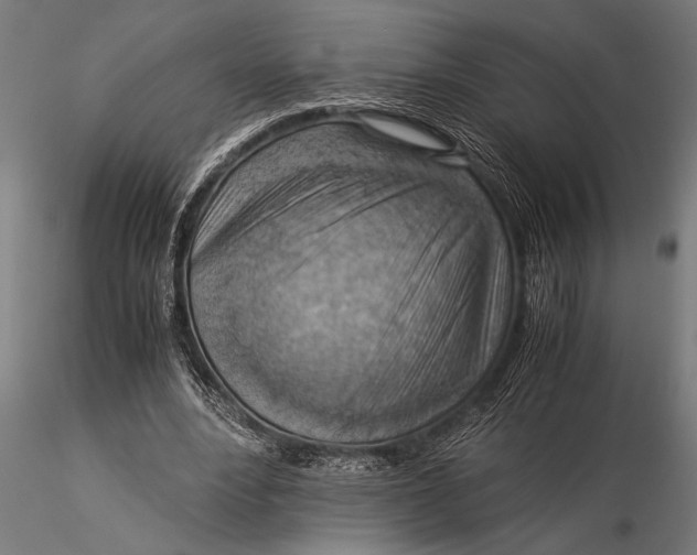 X0000116060488200912111532