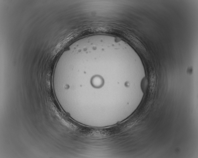 X0000116060489200912111532