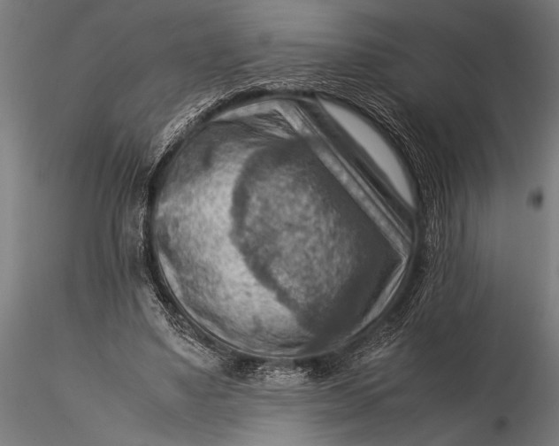 X0000116060491200912111532