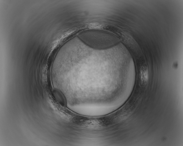 X0000116060492200912111532