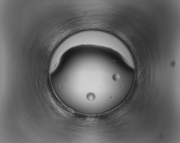 X0000116060493200912111532