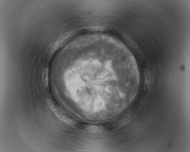 X0000116060494200912111532