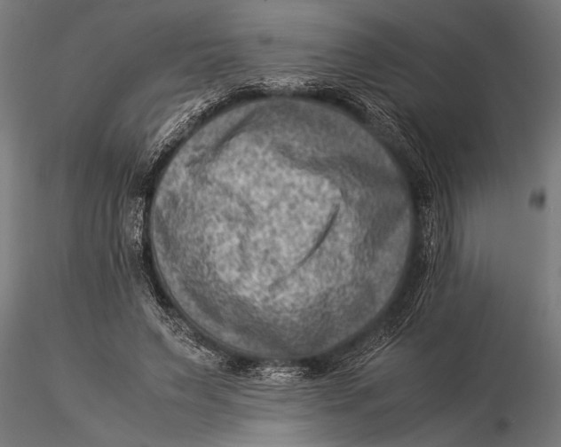 X0000116060495200912111532