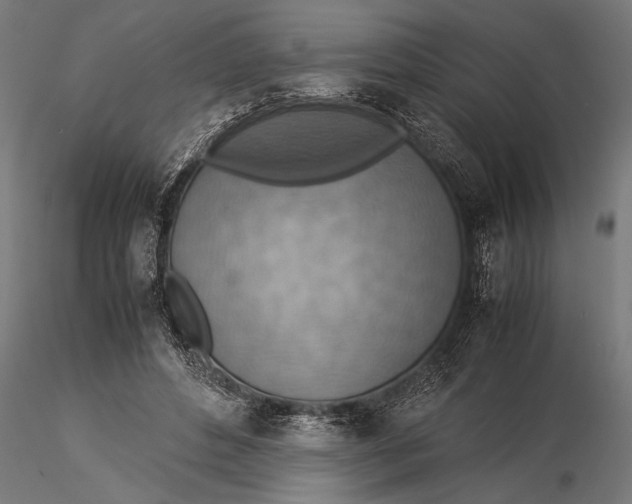 X0000116060496200912111532