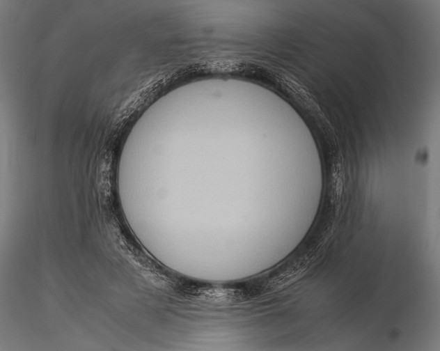 X0000116060497200912111532