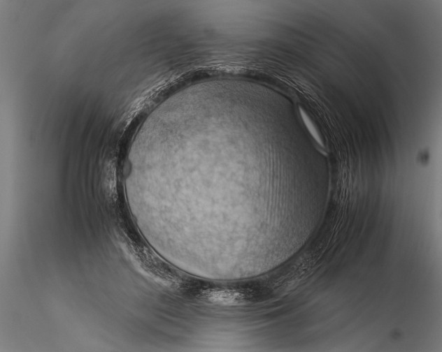 X0000116060500200912111531