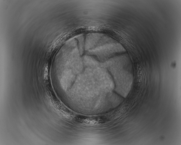 X0000116060502200912111531