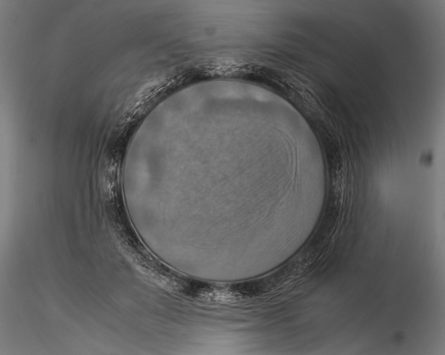 X0000116060503200912111531