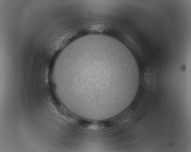 X0000116060504200912111531