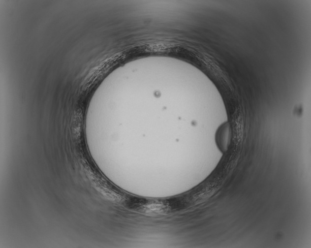 X0000116060505200912111531