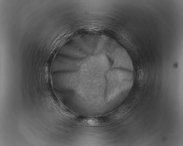 X0000116060506200912111531