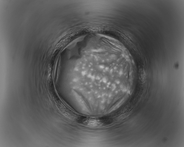 X0000116060507200912111531