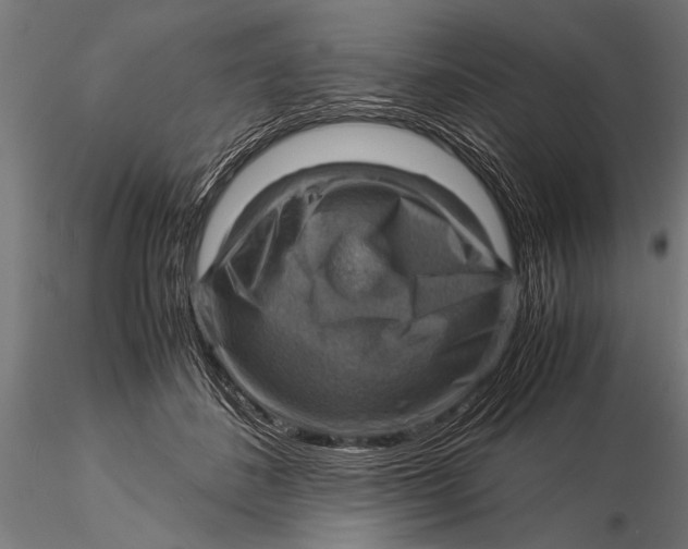 X0000116060508200912111531