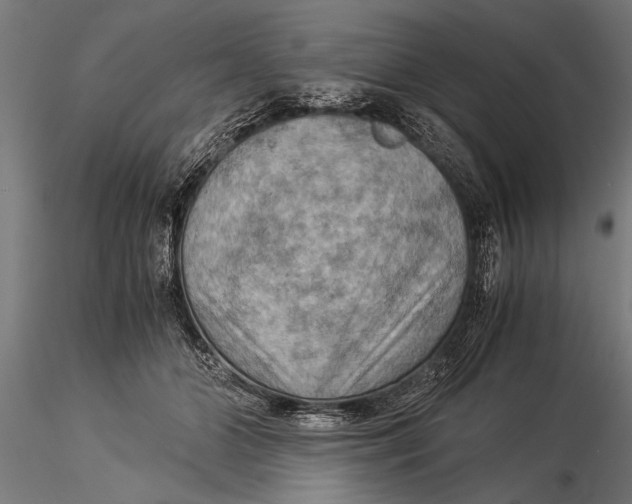 X0000116060510200912111531