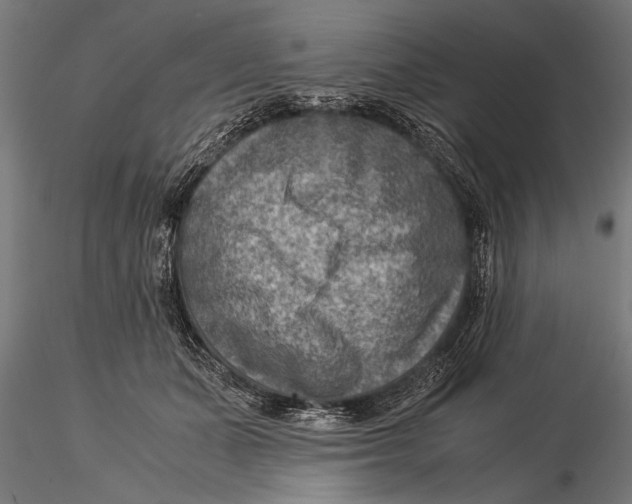 X0000116060511200912111531